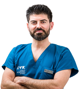 Dr. Nuno Revez, DVM