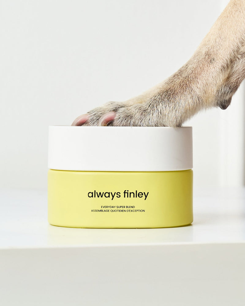 Everyday Super Blend - always finley