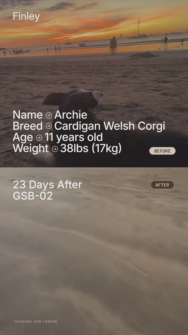 UGC Video