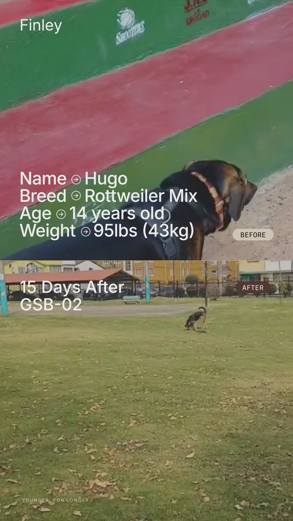 UGC Video