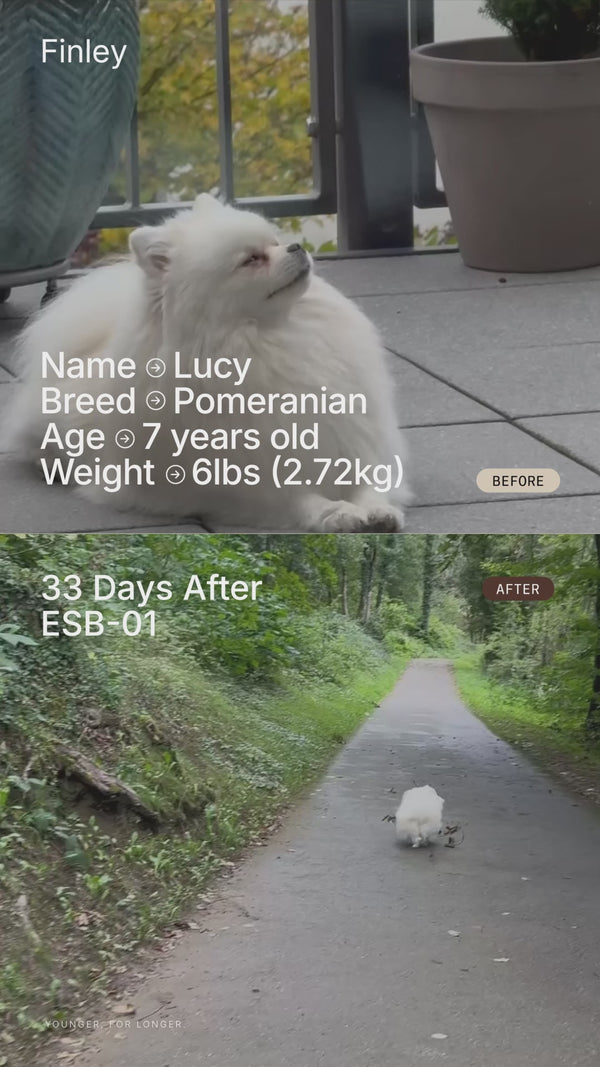 UGC Video