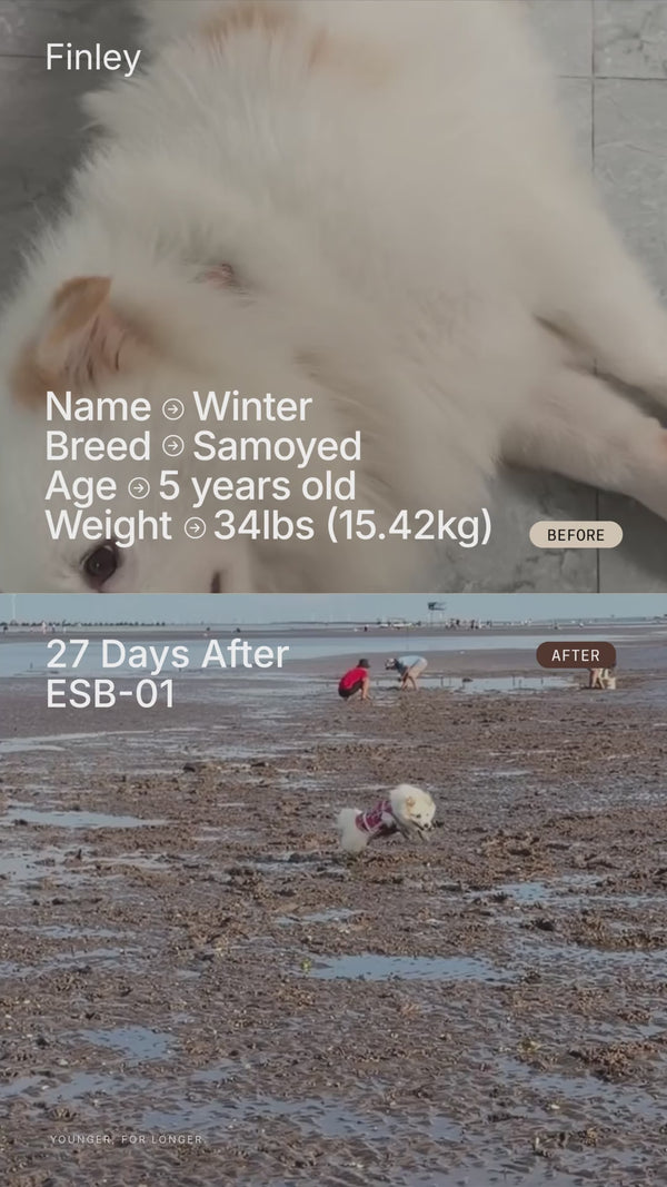 UGC Video