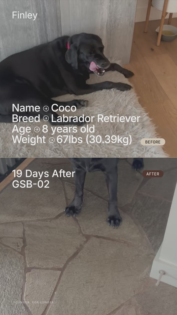 UGC Video
